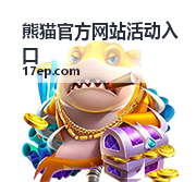 今天足球世界杯：焦点对决与观赛全指南